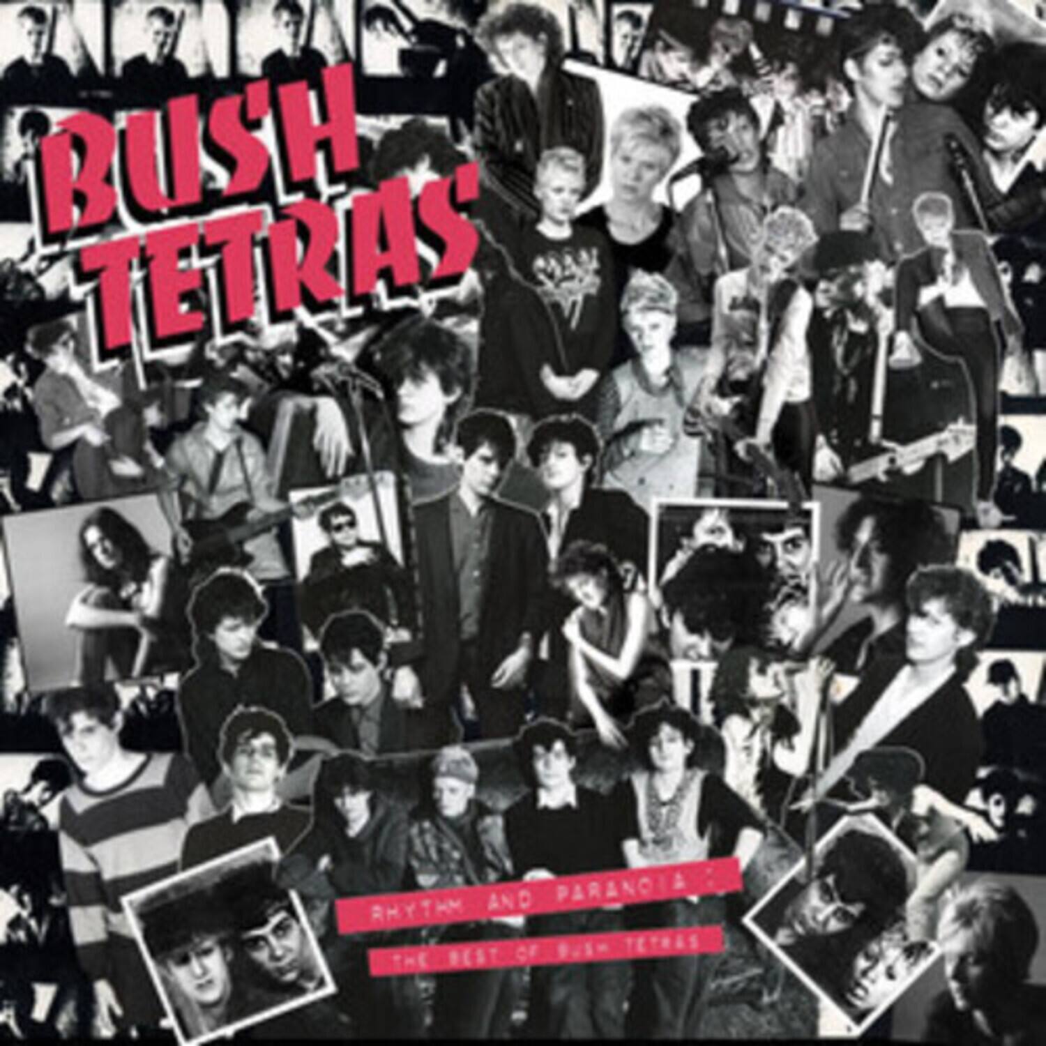 BUSH TETRAS

RHYTHM AND PARANOIA
THE BEST OF BUSH TETRAS