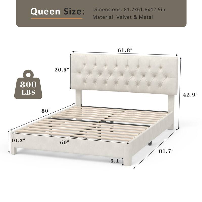 Queen Size:  
Dimensions: 81.7x61.8x42.9in  
Material: Velvet & Metal  

800 LBS  

61.8"  
20.5"  
80"  
42.9"  
60"  
10.2"  
81.7"  
3.1"