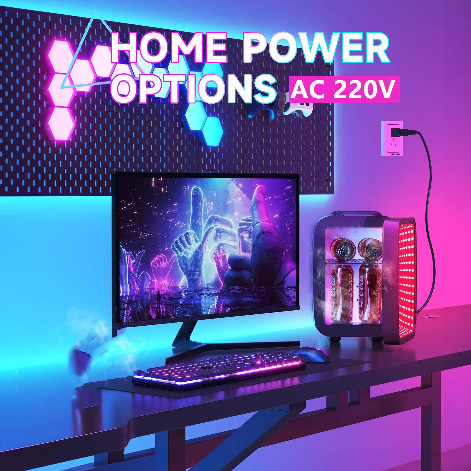 HOME POWER OPTIONS AC 220V