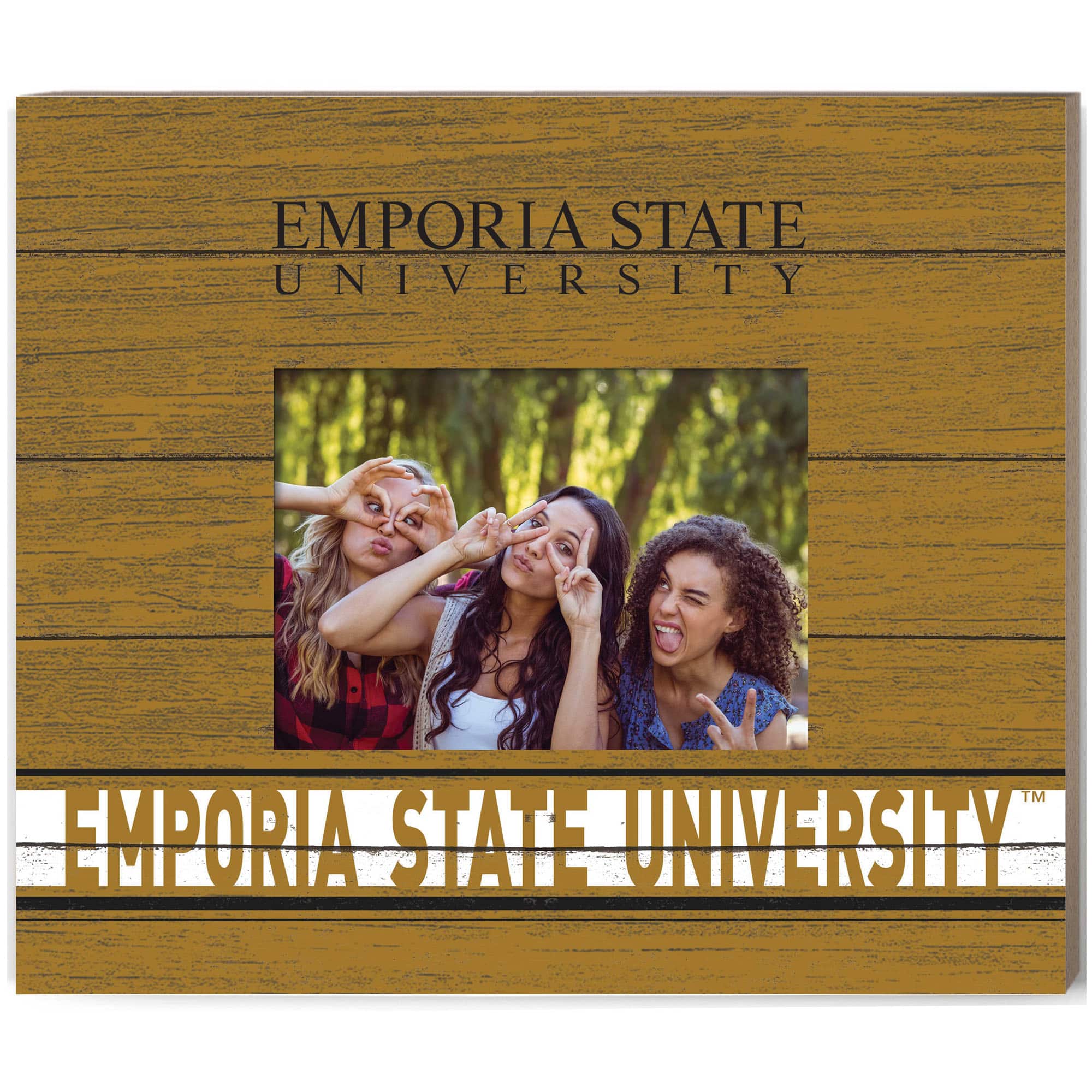 Jardine - Emporia State Hornets 11'' x 13'' Team Spirit Scholastic Picture Frame - Gold price history on PriceWatchPro
