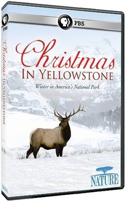 Nature: Christmas in Yellowstone - DVD