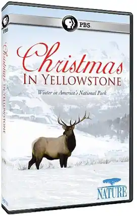 Front. Nature: Christmas in Yellowstone - DVD.