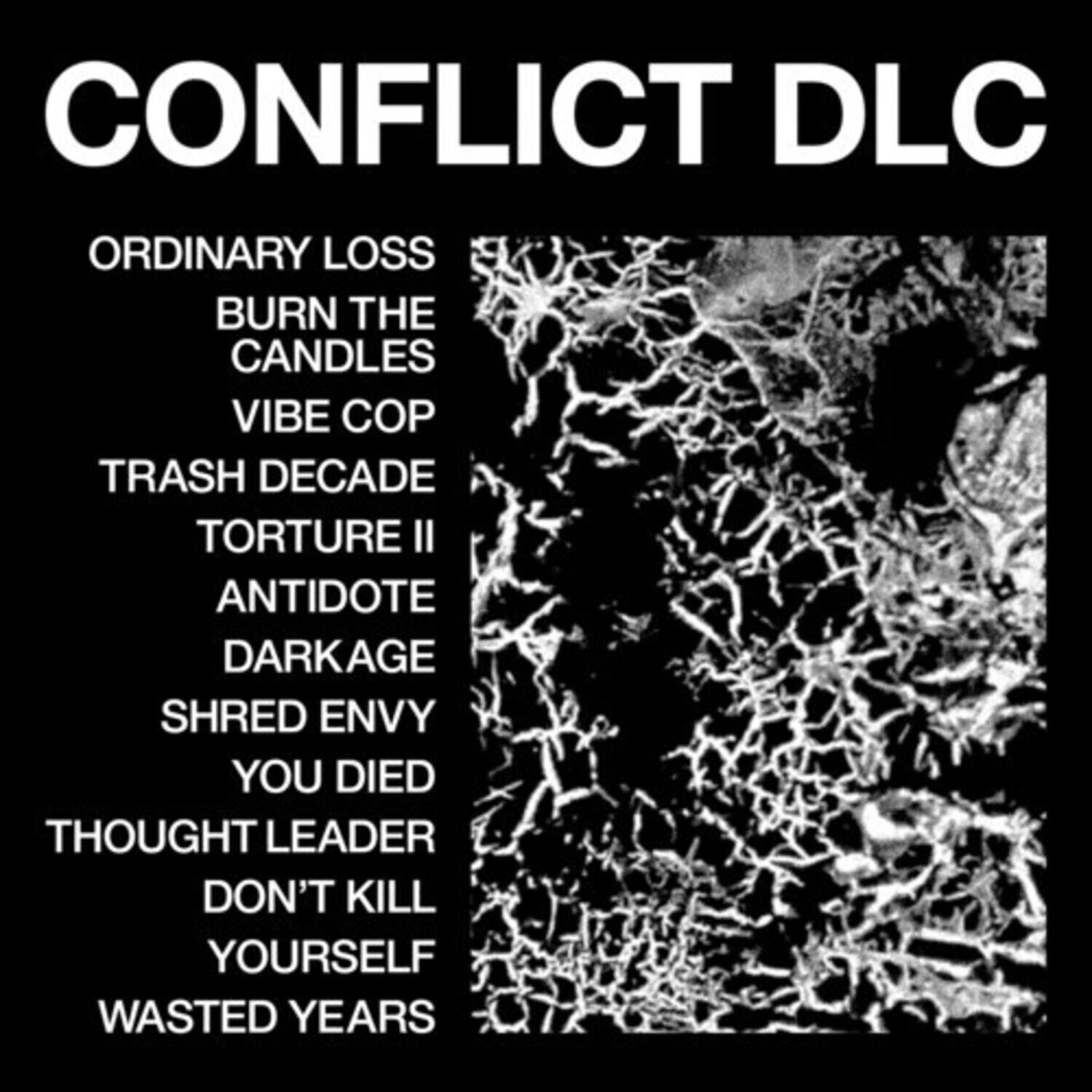 CONFLICT DLC

ORDINARY LOSS  
BURN THE CANDLES  
VIBE COP  
TRASH DECADE  
TORTURE II  
ANTIDOTE  
DARKAGE  
SHRED ENVY  
YOU DIED  
THOUGHT LEADER  
DON'T KILL YOURSELF  
WASTED YEARS