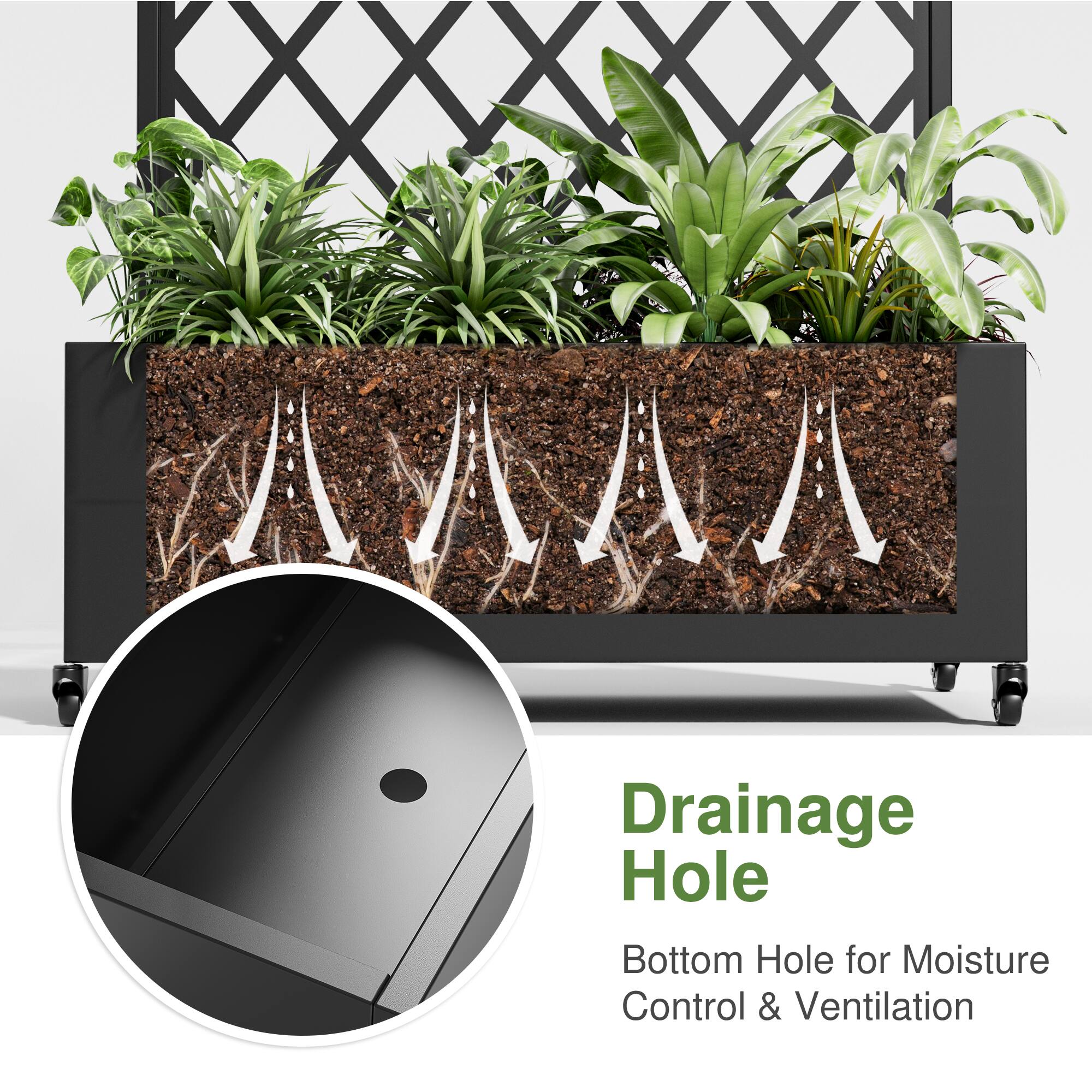 Drainage Hole

Bottom Hole for Moisture Control & Ventilation