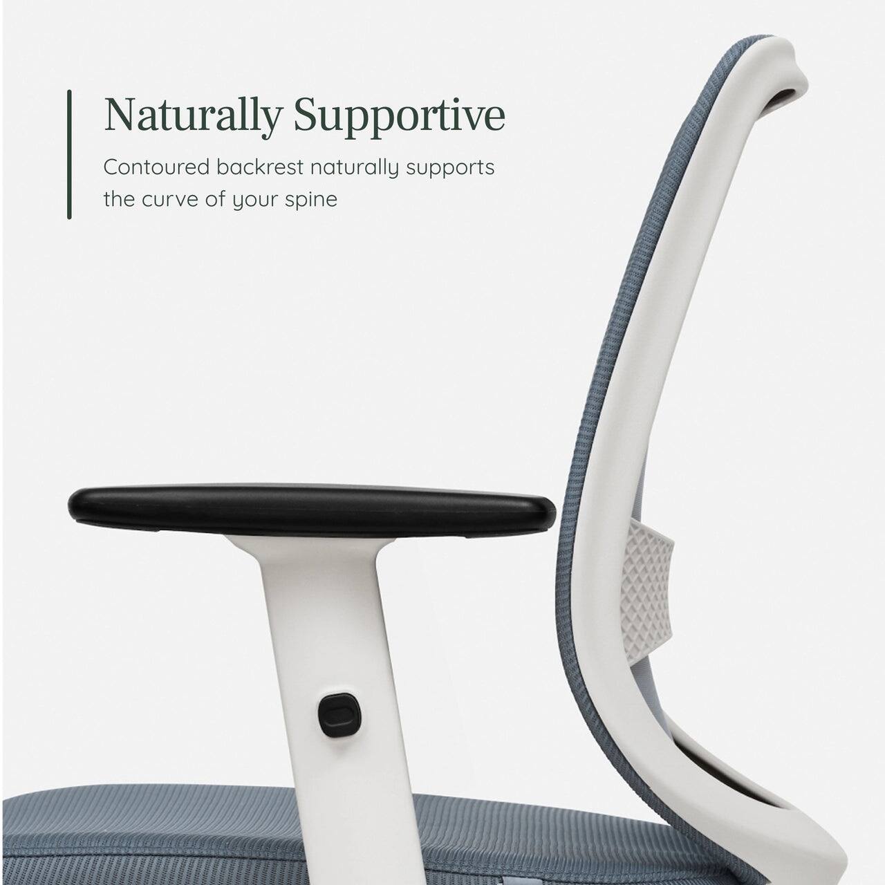 Naturally Supportive

Contoured backrest naturally supports the curve of your spine