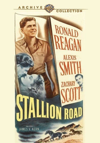 Stallion Road - DVD