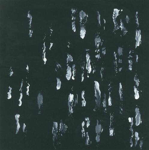 Amusers and Puzzlers [LP] [VINYL] price history on PriceWatchPro