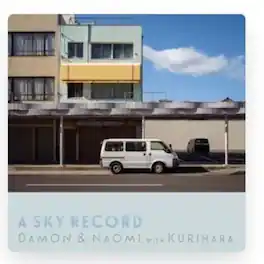 Damon & Naomi - A Sky Record - VINYL LP