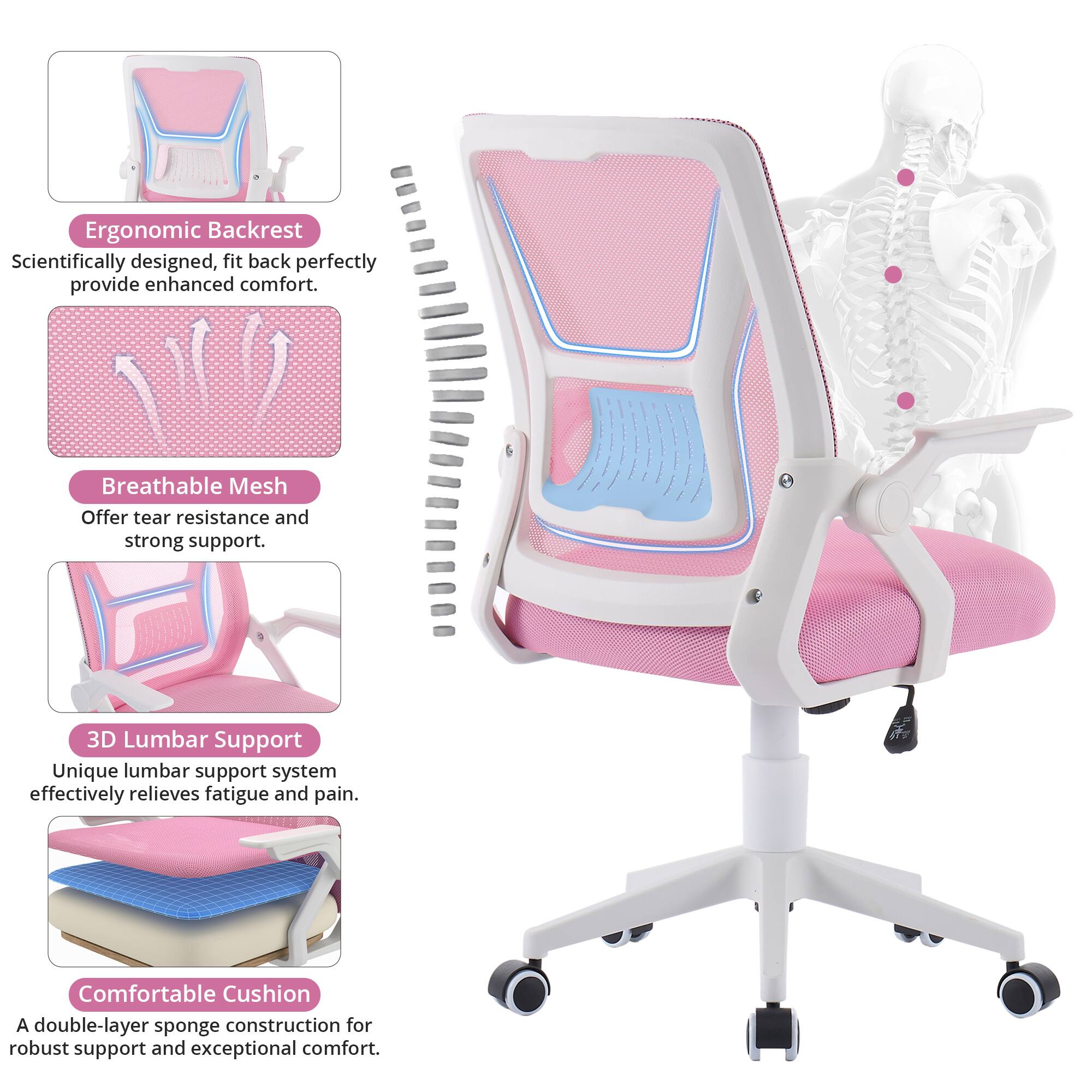 Ergonomic Backrest  
Scientifically designed, fit back perfectly provide enhanced comfort.

Breathable Mesh  
Offer tear resistance and strong support.

3D Lumbar Support  
Unique lumbar support system effectively relieves fatigue and pain.

Comfortable Cushion  
A double-layer sponge construction for robust support and exceptional comfort.