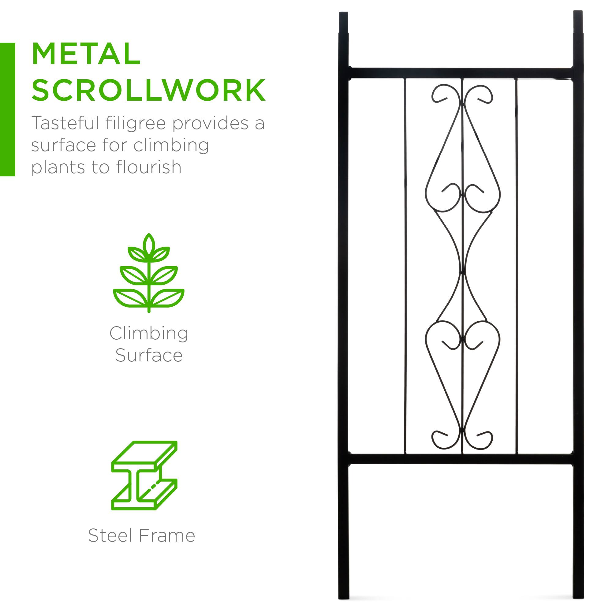 METAL SCROLLWORK  
Tasteful filigree provides a surface for climbing plants to flourish  

Climbing Surface  

Steel Frame