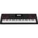 The text on the image reads:
"CA500
Stardriver
Alesis
49-Key
USB MIDI Keyboard
Alesis
49X"