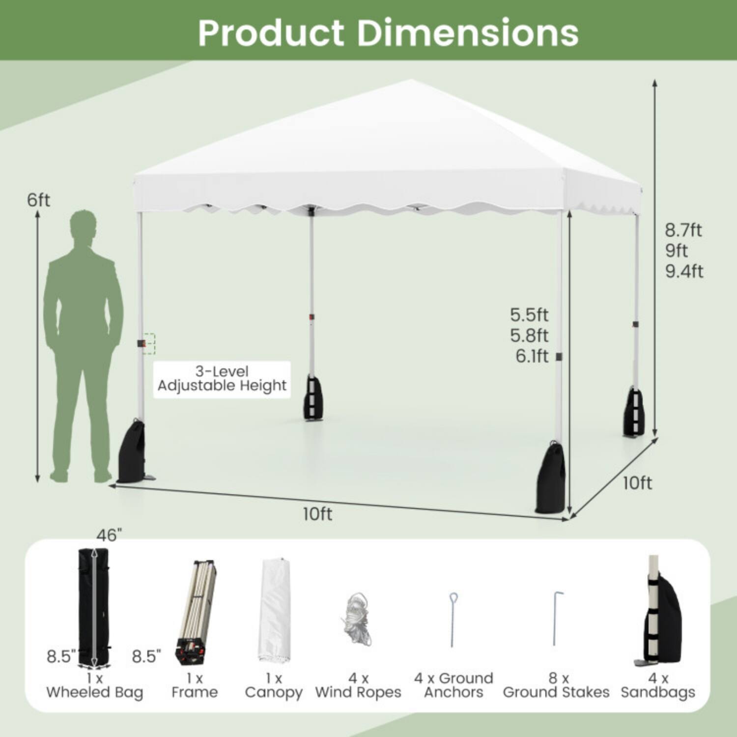 Product Dimensions

- 6ft
- 8.7ft
- 9ft
- 9.4ft
- 3-Level Adjustable Height: 5.5ft, 5.8ft, 6.1ft
- 10ft
- 46"
- 8.5"
- 8.5"
- 1 x Wheeled Bag
- 1 x Frame
- 1 x Canopy
- 4 x Wind Ropes
- 4 x Ground Anchors
- 8 x Ground Stakes
- 4 x Sandbags