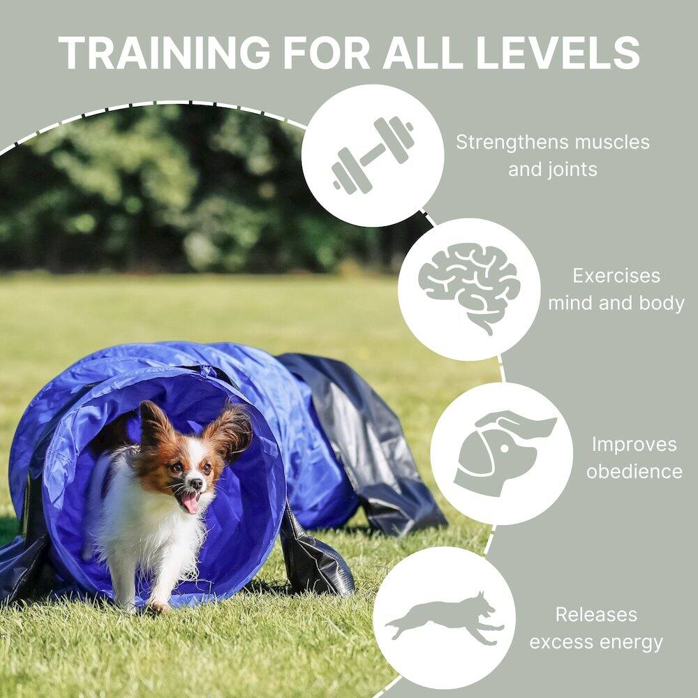 TRAINING FOR ALL LEVELS

- Strengthens muscles and joints
- Exercises mind and body
- Improves obedience
- Releases excess energy