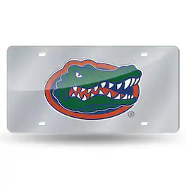 Rico Industries - University of Florida Gators - Silver Glitter Look - Laser License Plate - Multi