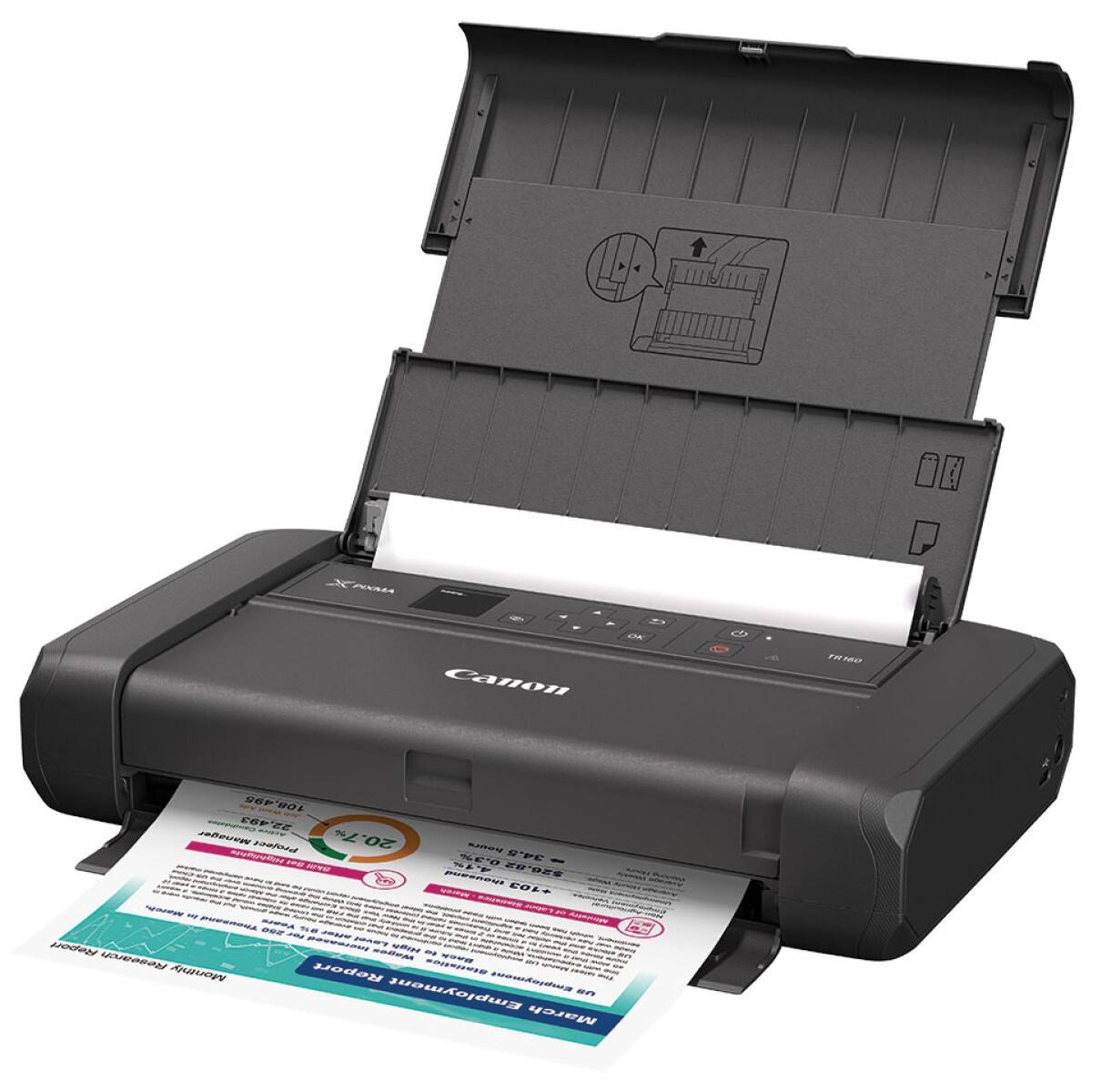 Canon a r0120 a80 100 ceF E Woes saatord 20.7% MAE E da %E S - - S RUPCHEN NI P0202 68 8OX AE 201+   - TROAND E seriens CN sl - Rosearoh - v i Monthly Report WRAENNES Employment co en March