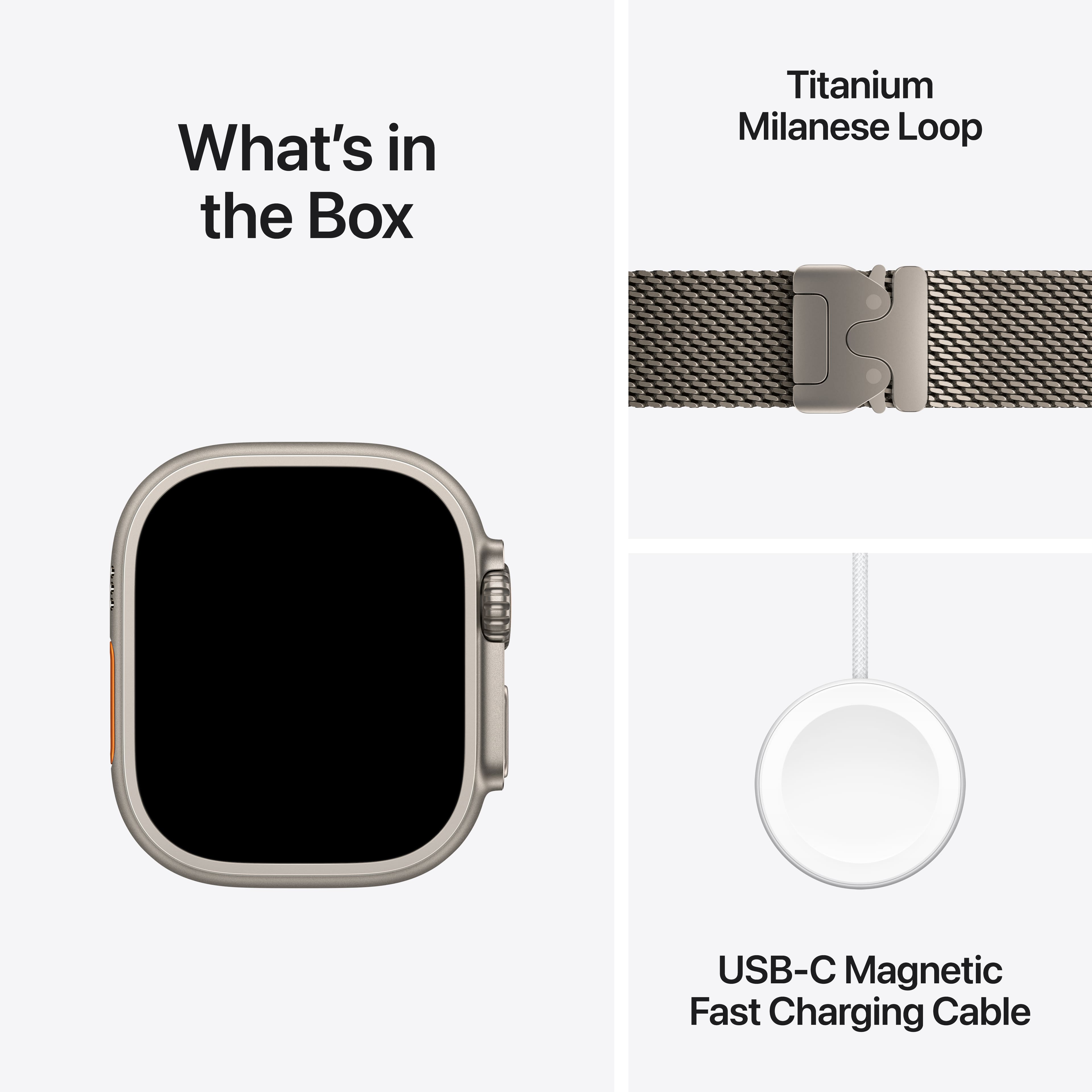 What's in the Box: Titanium Milanese Loop USB-C Magnetic Fast Charging Cable