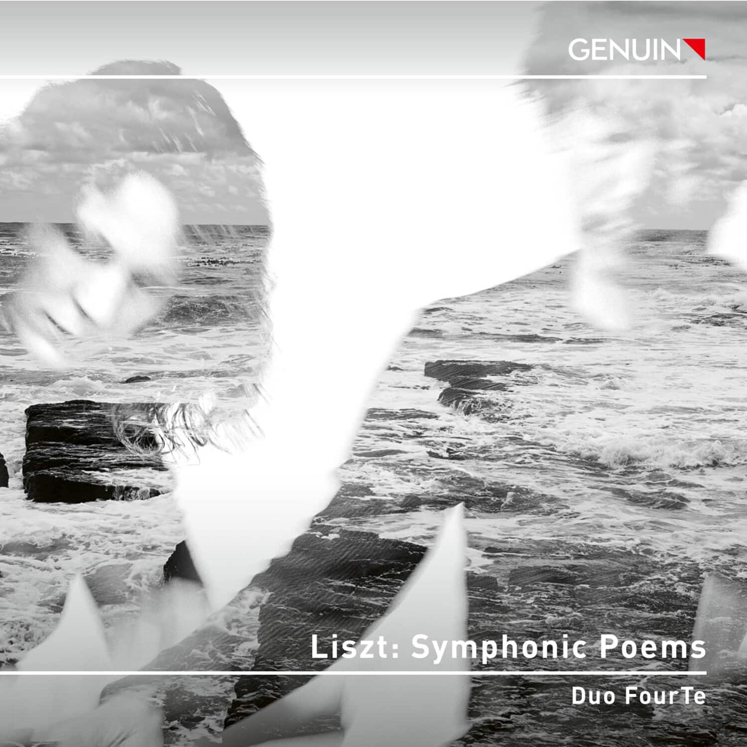 Duo FourTe - Liszt: Symphonic Poems   - COMPACT DISCS [CD] price history on PriceWatchPro
