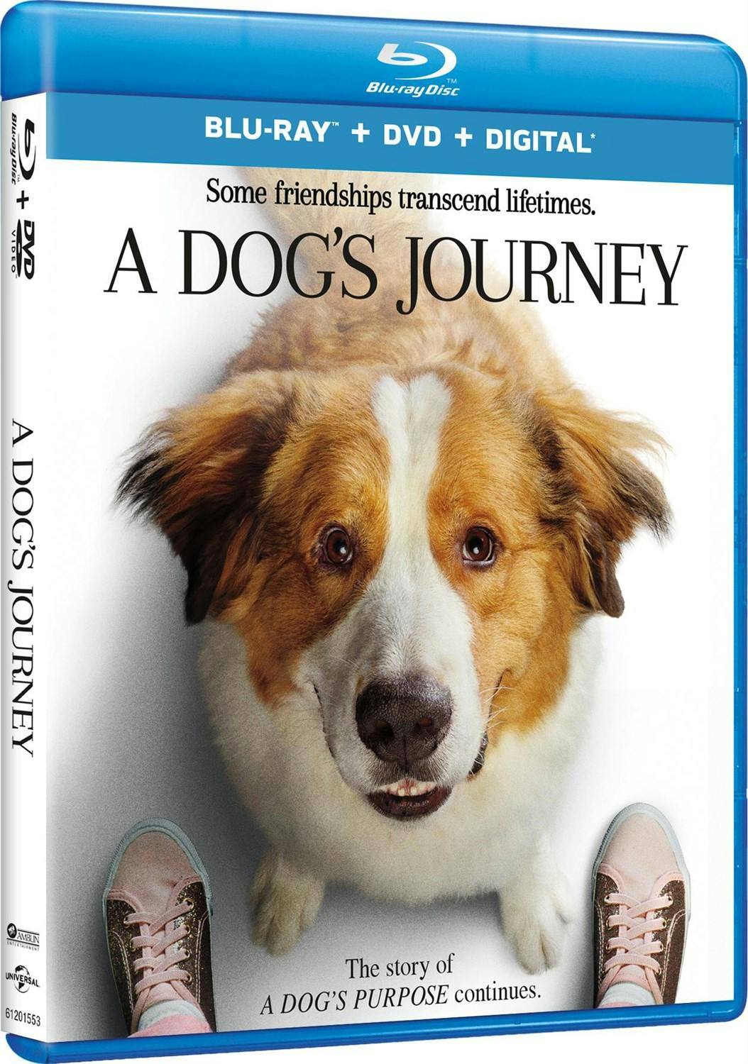 Angle. A Dog's Journey (DVD + Digital) [Blu-ray].