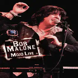 Mojo Live - DVD