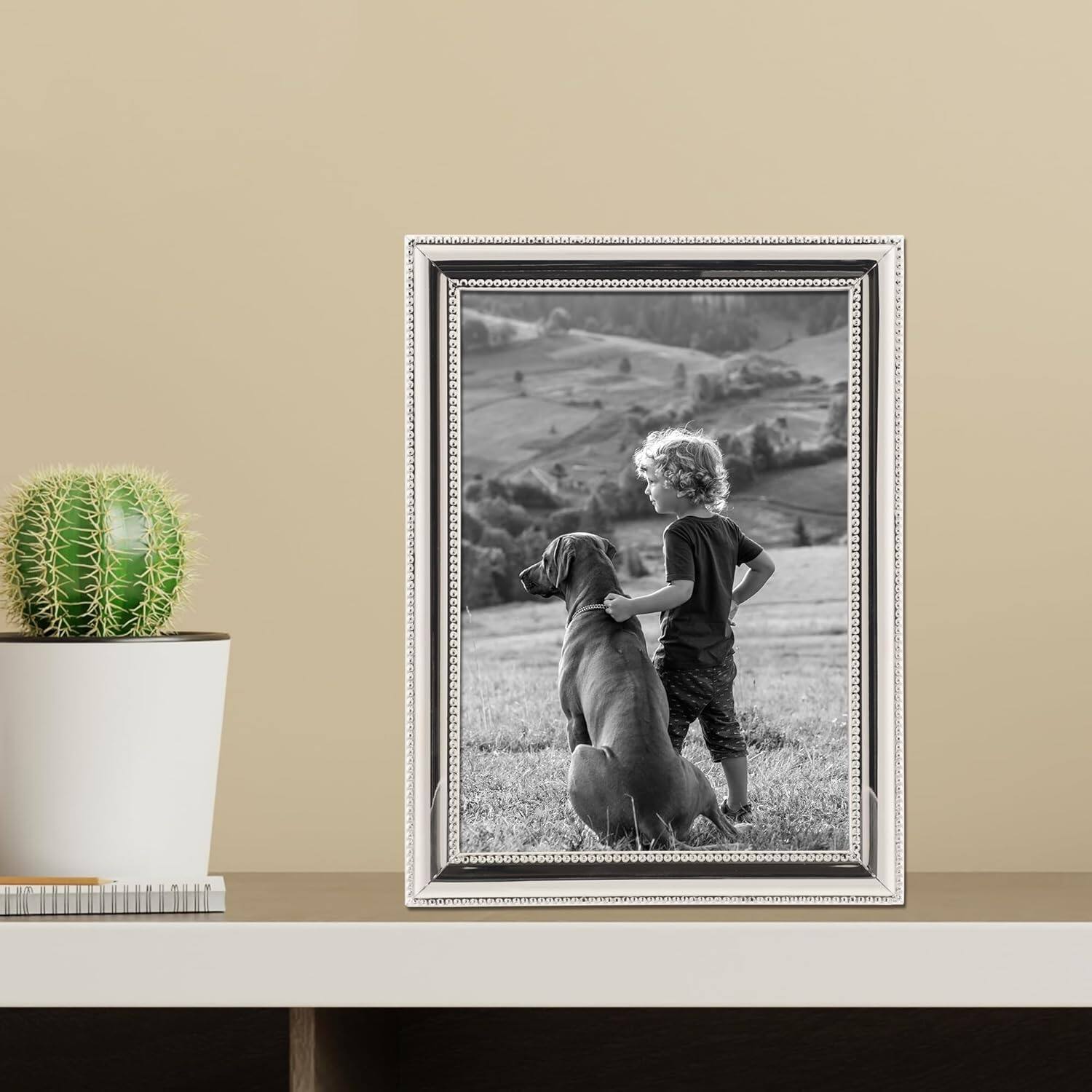 blue Lawrence Frames 510757 Metal Picture Frame Silver Plate with ...