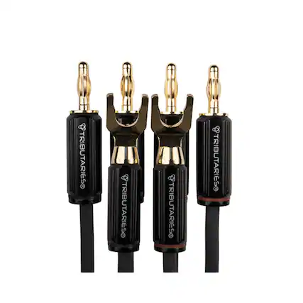 TRIBUTARIESO
TRIBUTARIESO
TRIBUTARIESO
TRIBUTARIESO