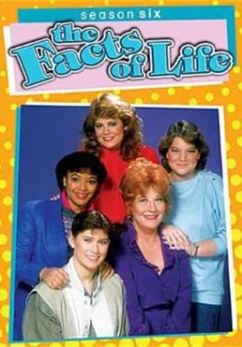 The Facts of Life: Season Six  - DVD