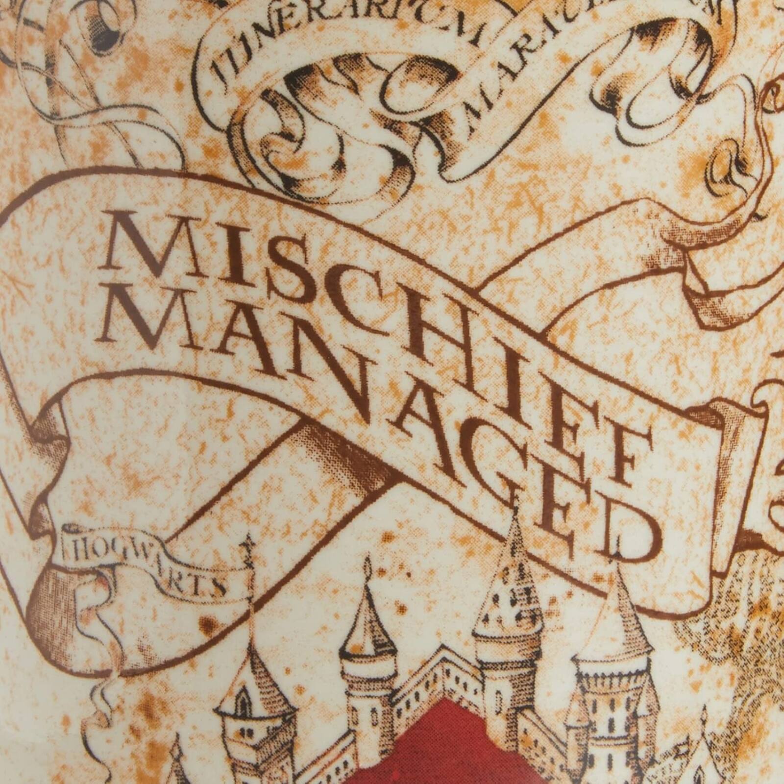 Mischief Managed  
Hogwarts  
Aged