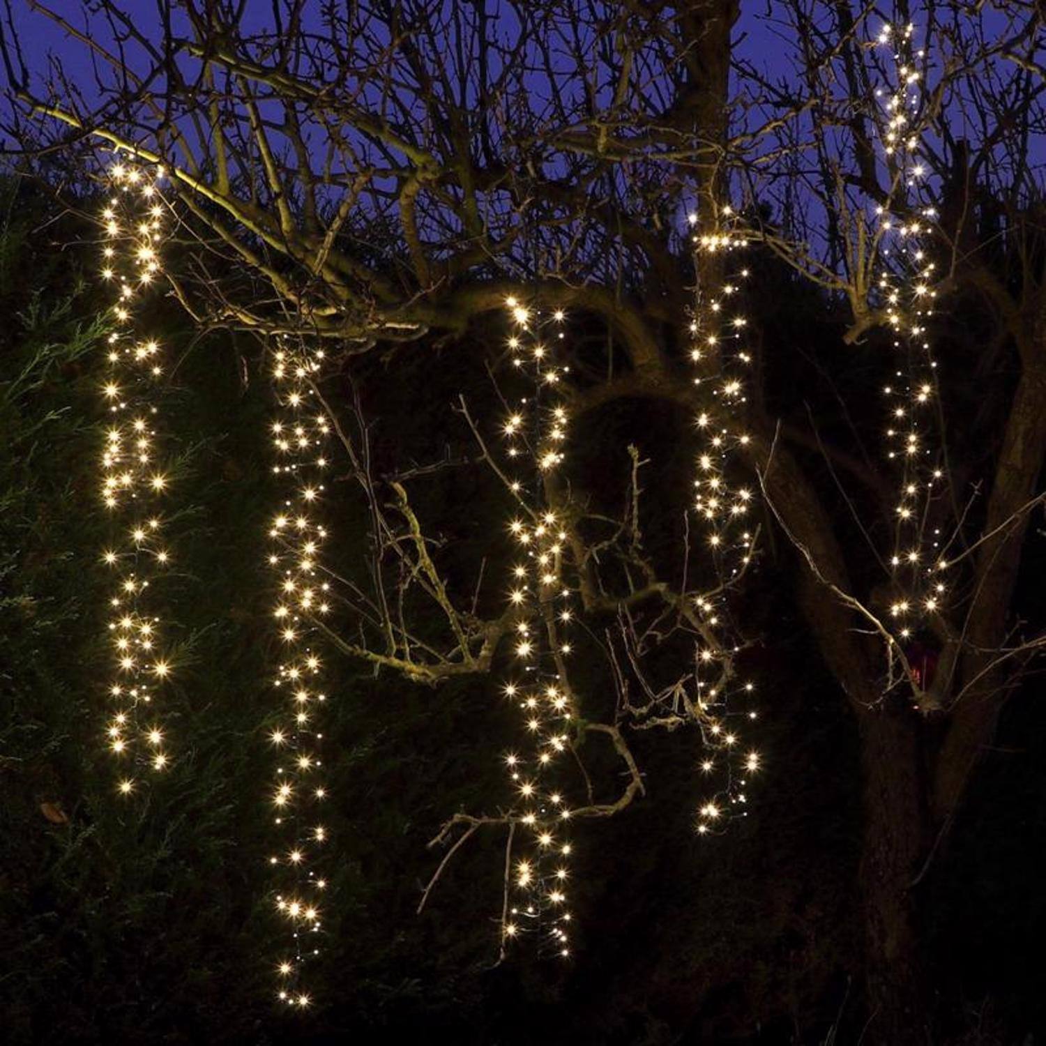 Left. Celebrations - Celebrations Gold LED Rice Clear/Warm White 480 ct Novelty Christmas Lights 7 ft..