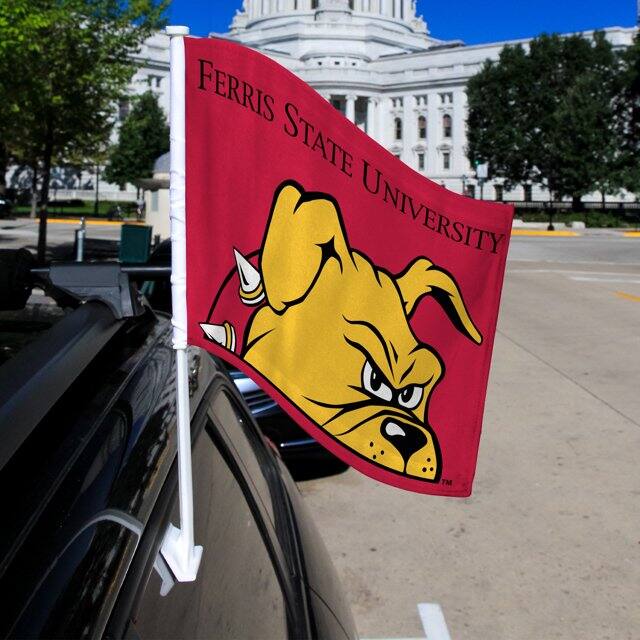 Ferris State University