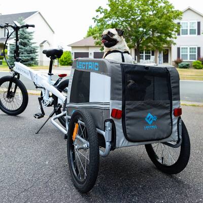 electric bicycle with trailer NA Cycles C23 Double Child 3-In-1 Trailer, Jogger, Stroller CF-BT509A bike into a cargo and dog Lectric eBikes Pet Trailer for