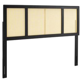 Delmare Cane King Headboard by Modway - Black