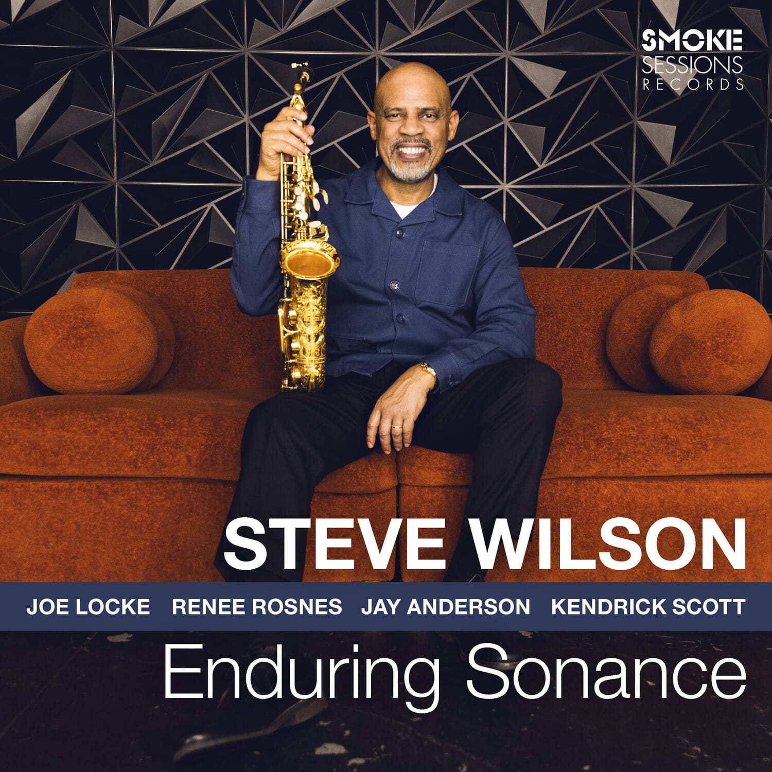 Steve Wilson - Enduring Sonance   - COMPACT DISCS [CD] price history on PriceWatchPro