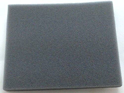 Left. BISSELL - Vacuum Filter (1 Pack) Part #1602085.