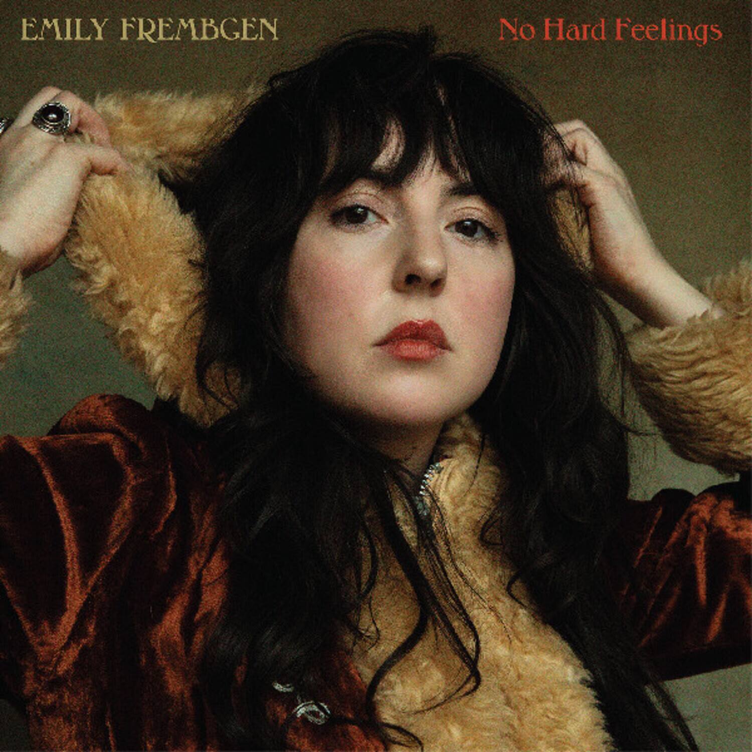 Emily Frembgen - No Hard Feelings   - VINYL LP price history on PriceWatchPro