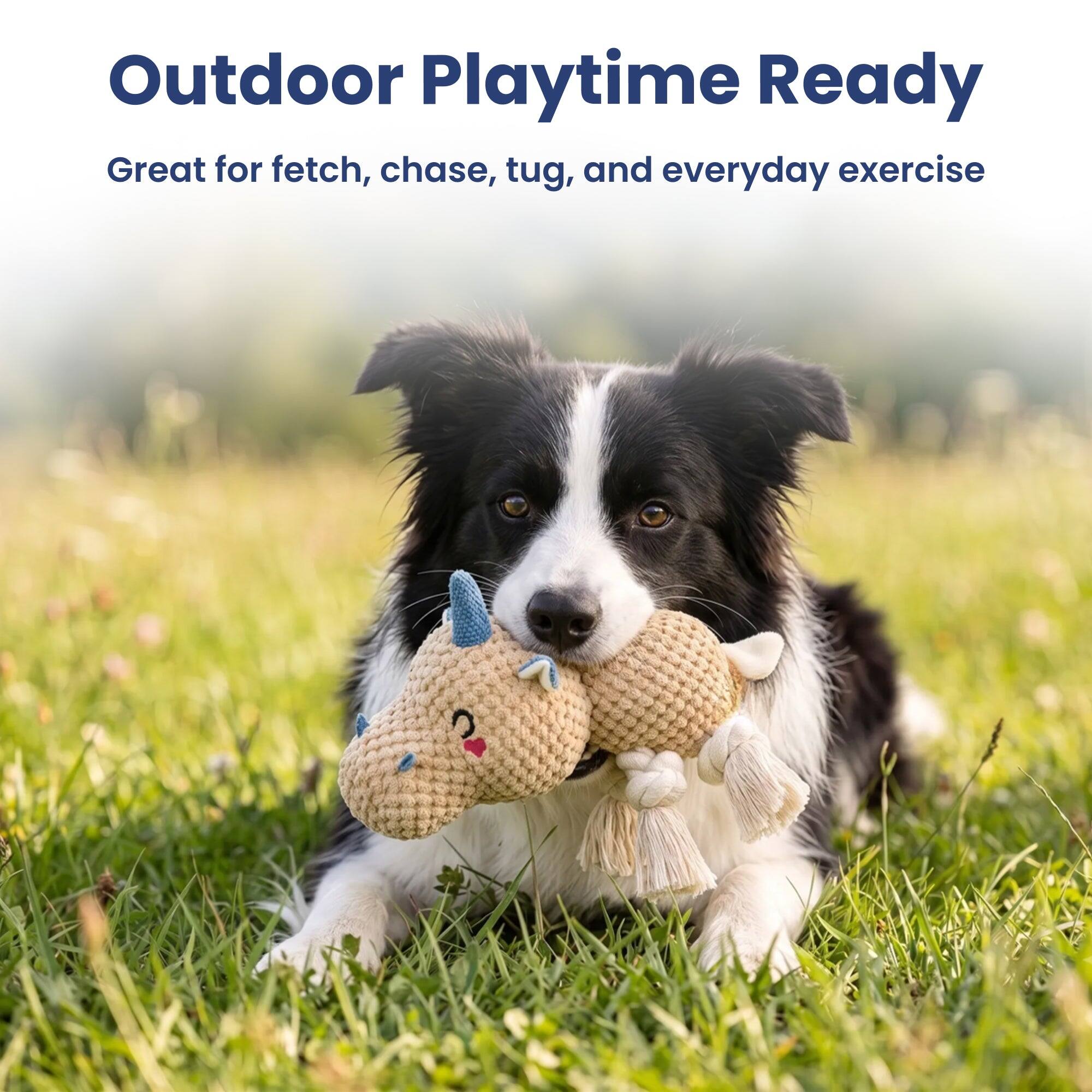 Outdoor Playtime Ready  
Great for fetch, chase, tug, and everyday exercise