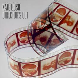 Kate Bush - Director'S Cut - 2018 Remaster 180gm Black Vinyl - VINYL LP