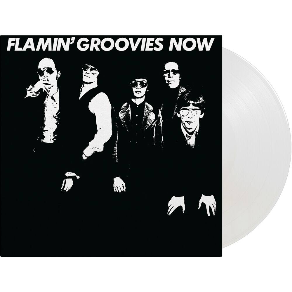 Flamin' Groovies Now [LP] [VINYL] price history on PriceWatchPro