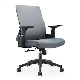LeisureMod - Brio Office Chair Ergonomic Lumbar Support Computer Chair Adjustable Desk Chair with 360 Degree Swivel and Tilt - Gray