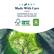 LA-Z-BOY Made With Care
Committed to you, our future, and the planet!
FORESTS FOR ALL
FSC FOREVER
GREENGUARD