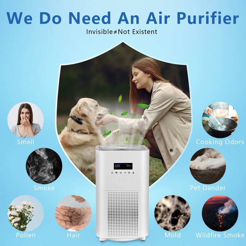 We Do Need An Air Purifier  
Invisible ≠ Not Existent  

- Smell  
- Smoke  
- Pollen  
- Hair  
- Mold  
- Cooking Odors  
- Pet Dander  
- Wildfire Smoke