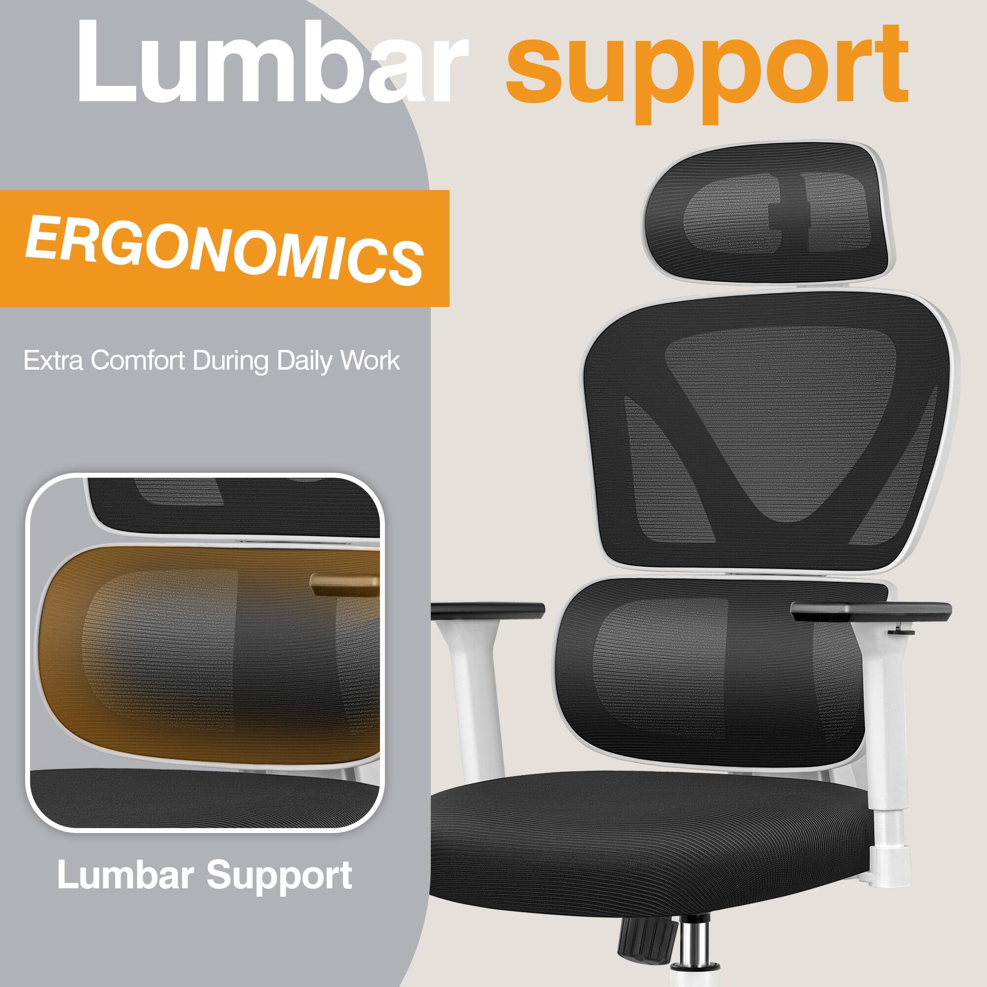 Lumbar support

ERGONOMICS

Extra Comfort During Daily Work

Lumbar Support