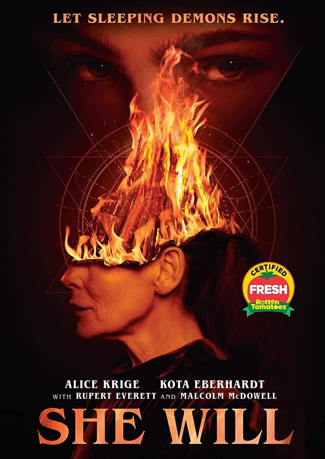 She Will   - DVD price history on PriceWatchPro
