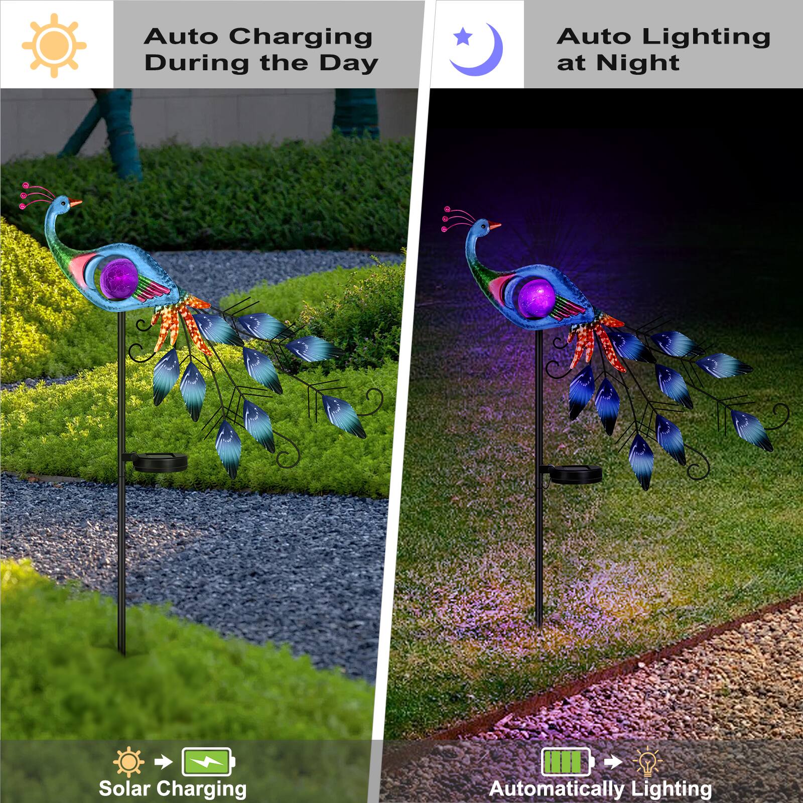 Auto Charging During the Day  
Auto Lighting at Night  
Solar Charging  
Automatically Lighting