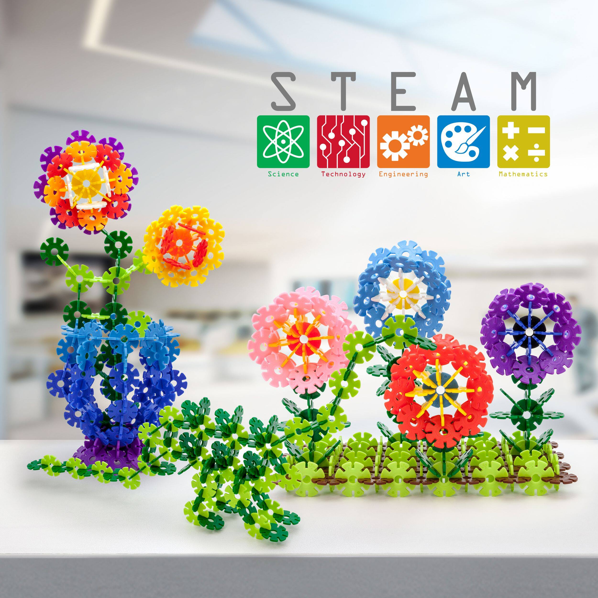 STEAM  
Science Technology Engineering Art Mathematics