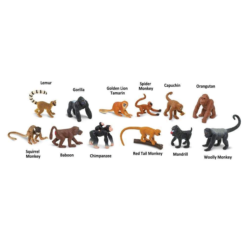 Lemur, Gorilla, Golden Lion Tamarin, Spider Monkey, Capuchin, Orangutan, Squirrel Monkey, Baboon, Chimpanzee, Red Tail Monkey, Mandrill, Woolly Monkey