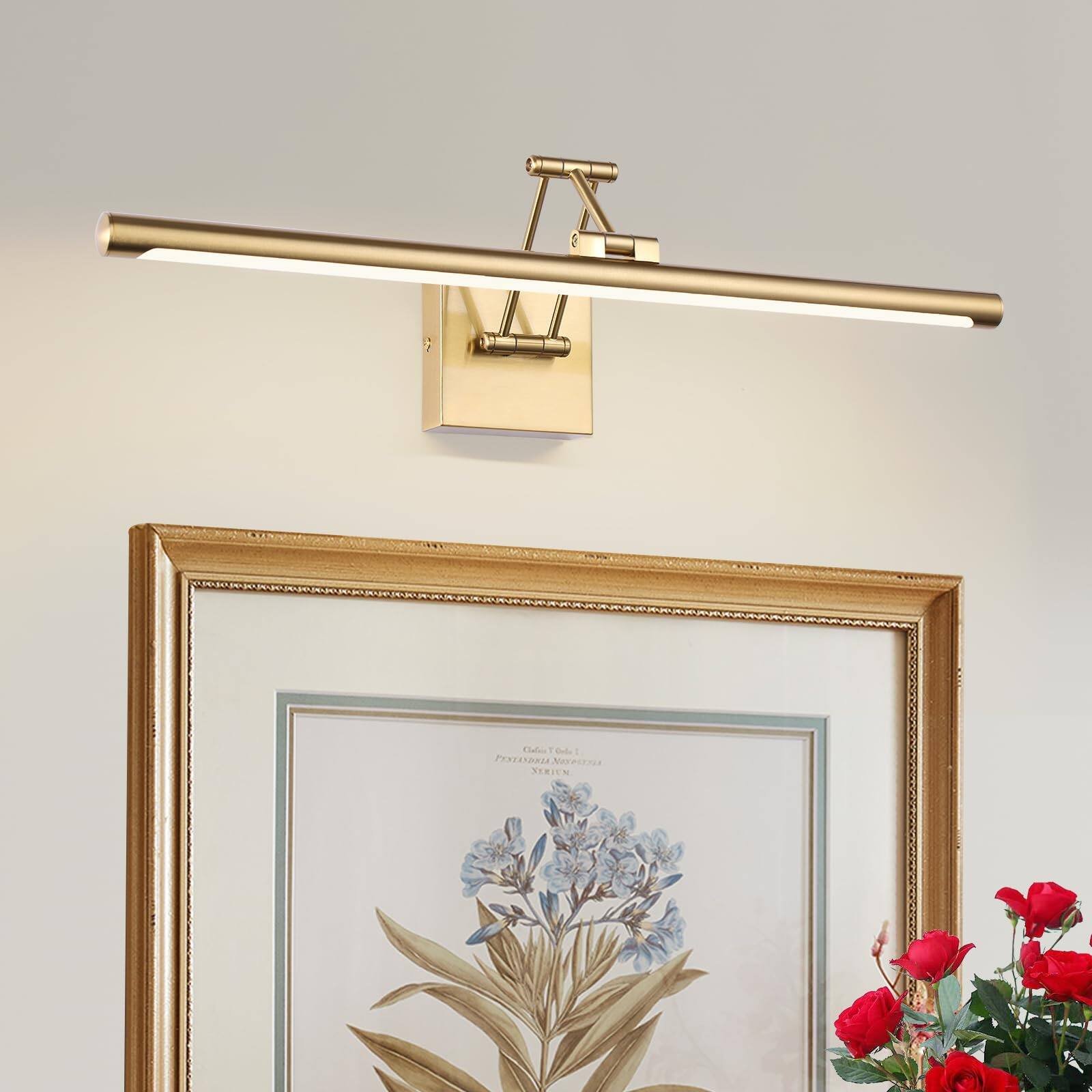 TECH SAFARI - Picture Lights For Wall Rechargeable Gallery Light Wireless Art Display With Dual rods Swing Arm Brass Pain - Hard-wired Brass-3000K 24 Inch