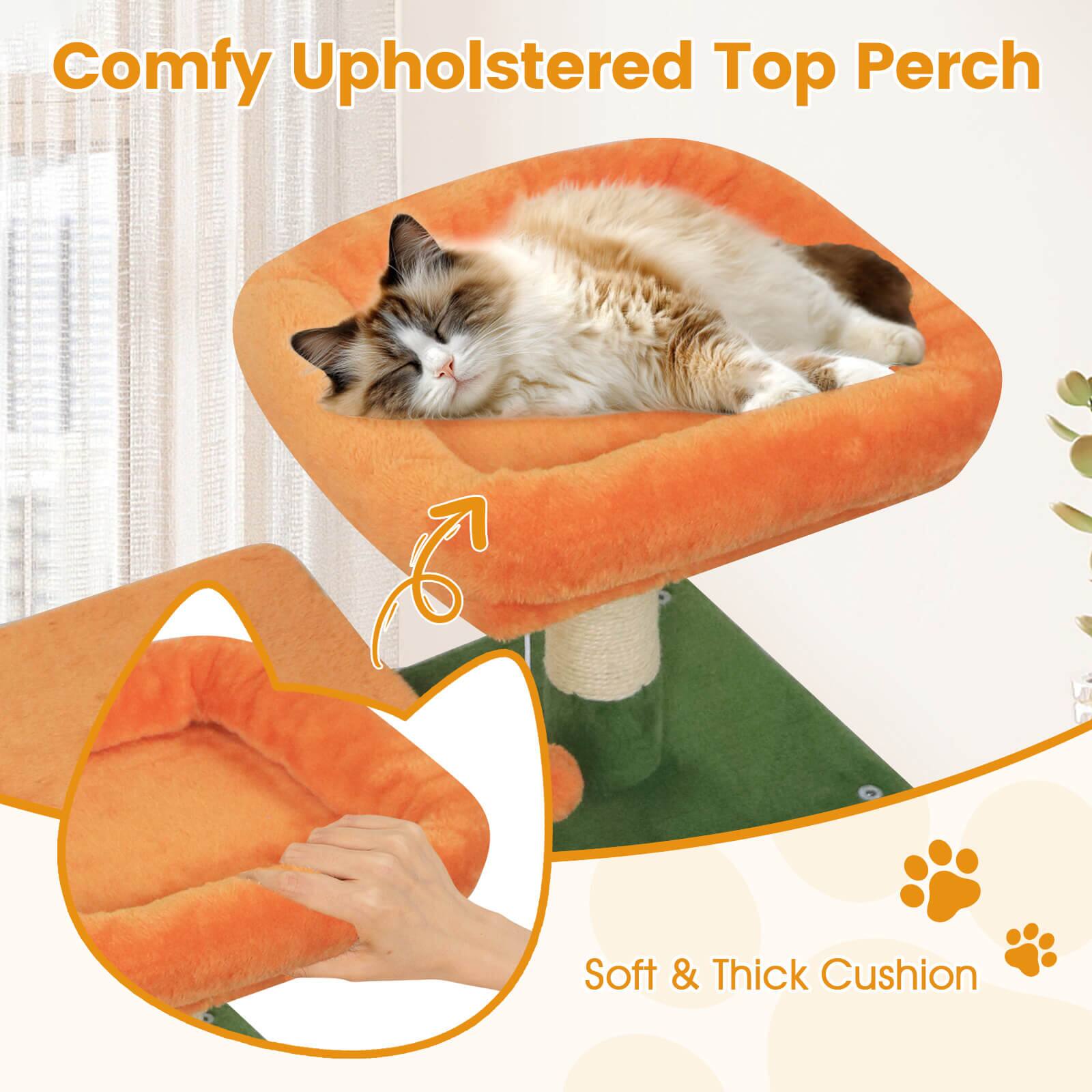 Comfy Upholstered Top Perch

Soft & Thick Cushion