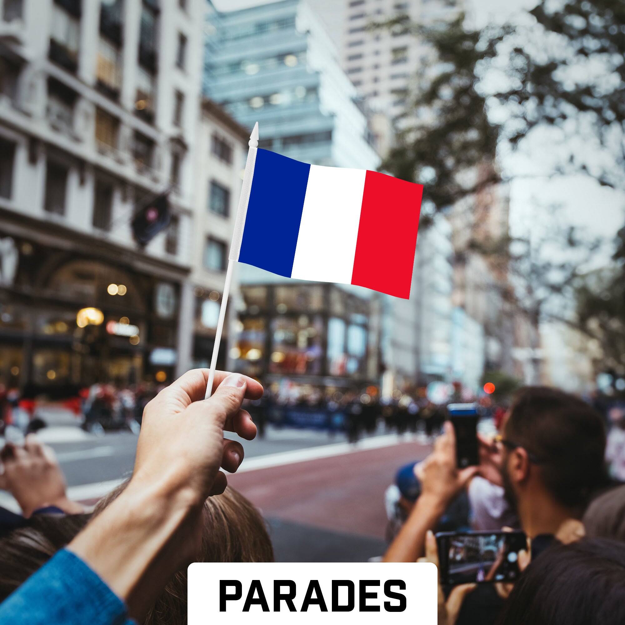 Back. G128 - 30 Pack Handheld France Flags 4" x 6" — 150D Polyester with Plastic Stick and White Spear Tip. - Assorted Colors.