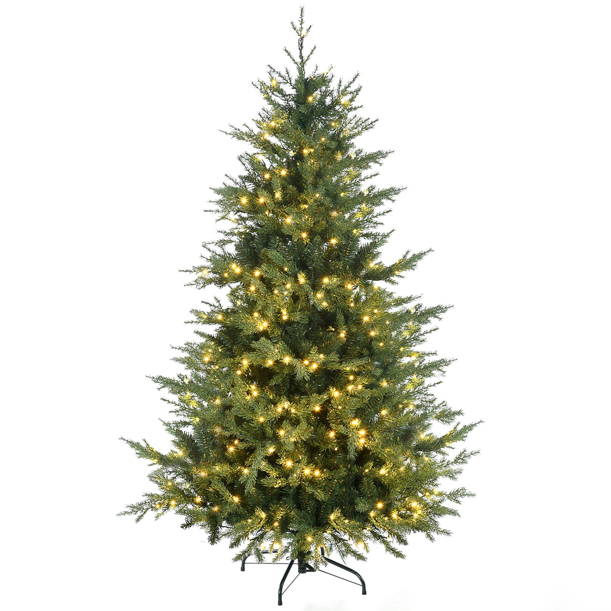 Christmas Trees With Lights