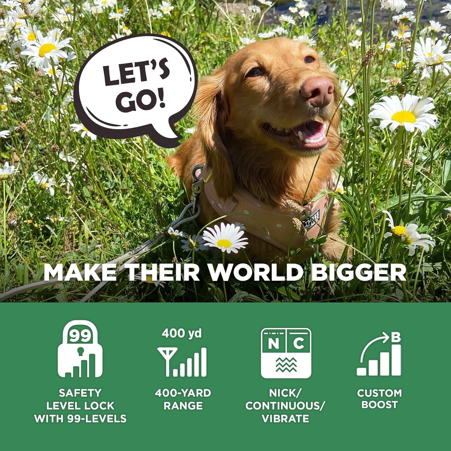 LET'S GO!  
MAKE THEIR WORLD BIGGER  

- SAFETY LEVEL LOCK WITH 99-LEVELS  
- 400-YARD RANGE  
- NICK/CONTINUOUS/VIBRATE  
- CUSTOM BOOST